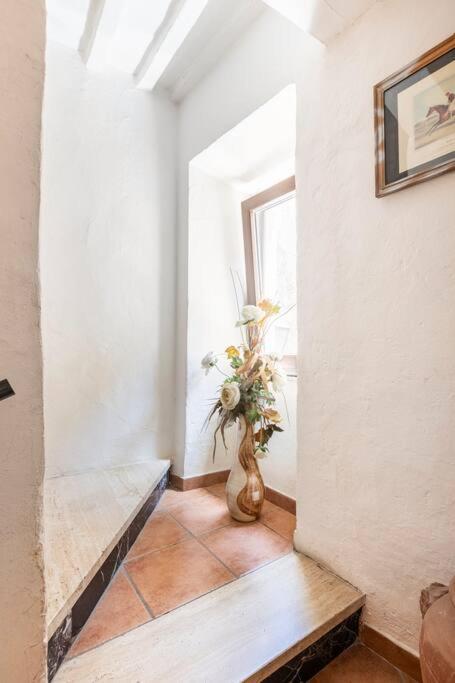 Casa Nel Corso Leilighet Pitigliano Eksteriør bilde